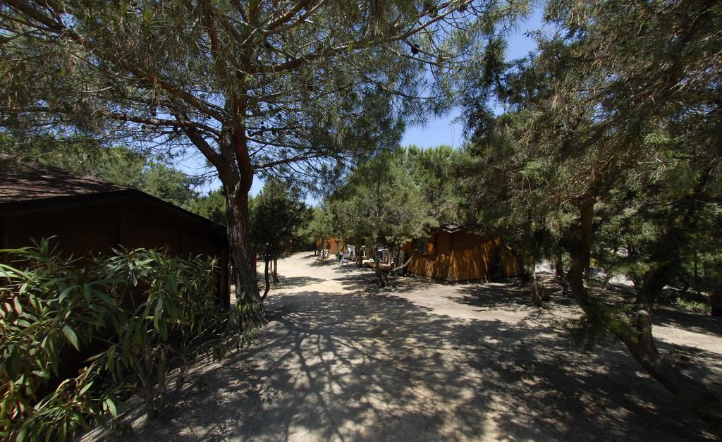 וילסימיוס Villaggio Camping Spiaggia Del Riso מראה חיצוני תמונה